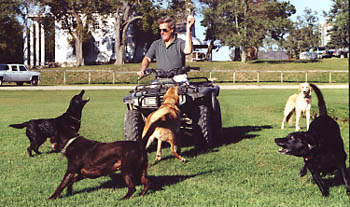 dog boarding and kennel